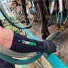 Dry Cuffs Milking Sleeves