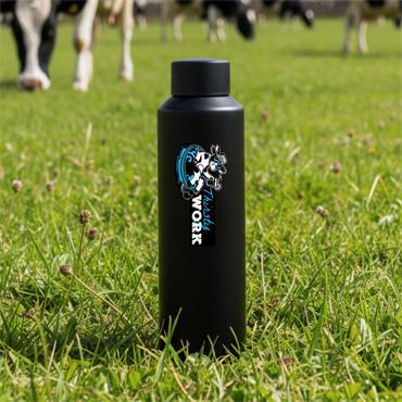 Double Wall Steel Reusable Water Bottle