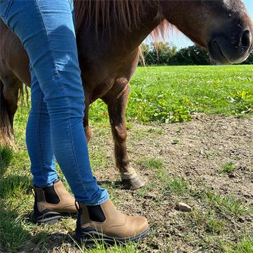 Womens Ariat Barnyard Twin Gore II Waterproof Work Boots