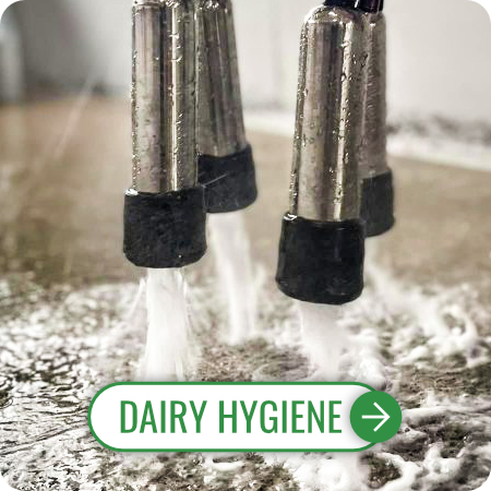 Shop Dairy Hygiene