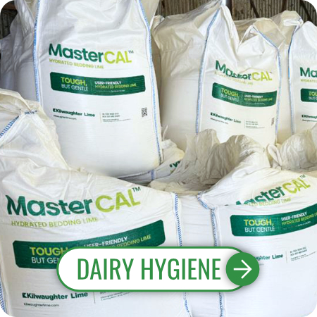 Dairy Hygiene Teat Dip, Cubicle Lime, Detergent