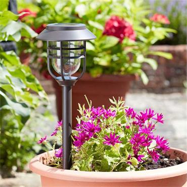 Smart Garden 5 Lumens Avant Stake Light  5 Piece