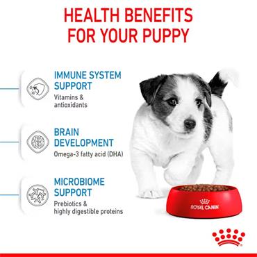 Royal Canin Mini Puppy Dog Food 2kg