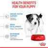 Royal Canin Mini Puppy Dog Food 4kg