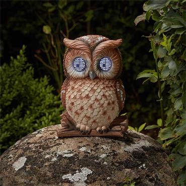 Smart Garden Blinkin' Owl