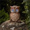 Smart Garden Blinkin' Owl