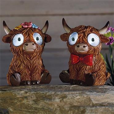 Smart Garden Bright Eyes Highlander Assorted