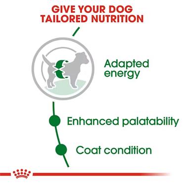 Royal Canin Mini Adult Dog Food 2kg