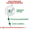 Royal Canin Mini Adult Dog Food 2kg