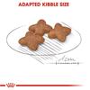 Royal Canin Mini Adult Dog Food 2kg