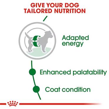 Royal Canin Mini Adult Dog Food 4kg