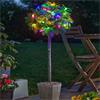 Smart Garden Smart Solar String 100 Lights Multicoloured