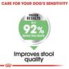 Royal Canin Mini Digest Care Dog Food 3kg