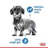 Royal Canin Mini Light Weight Care Dog Food 3kg