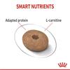 Royal Canin Mini Light Weight Care Dog Food 3kg