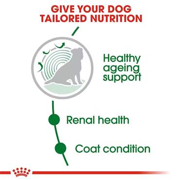 Royal Canin Mini Ageing 12+ Dog Food 1.5kg