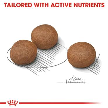 Royal Canin Medium Digestive Care Dog Food 3kg
