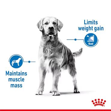Royal Canin Medium Light Weight Care Dog Food 3kg