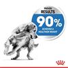Royal Canin Maxi Light Weight Care Dog Food 12kg