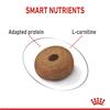 Royal Canin Maxi Light Weight Care Dog Food 12kg
