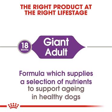 Royal Canin Giant Adult Dog Food 15kg