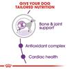 Royal Canin Giant Adult Dog Food 15kg