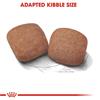 Royal Canin Giant Adult Dog Food 15kg