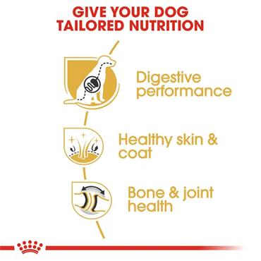 Royal Canin German Shepherd Adult Dog Food 11kg