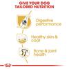 Royal Canin German Shepherd Adult Dog Food 11kg