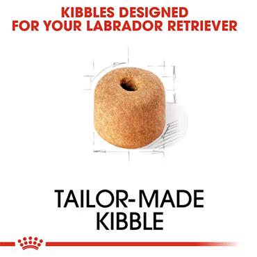 Royal Canin Labrador Retriever Adult Dog Food 12kg