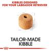 Royal Canin Labrador Retriever Adult Dog Food 12kg