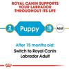 Royal Canin Labrador Retriever Puppy Dog Food 12kg