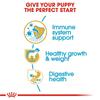 Royal Canin Labrador Retriever Puppy Dog Food 12kg