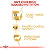 Royal Canin Boxer Adult Dog Food 12kg