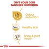 Royal Canin Bulldog Adult Dog Food 12kg
