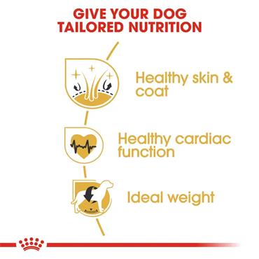Royal Canin Golden Retriever Adult Dog Food 12kg