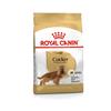 Royal Canin Cocker Adult Dog Food 3kg