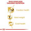 Royal Canin Cavalier King Charles Adult Dog Food 1.5kg