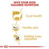 Royal Canin West Highland White Terrier Adult Dog Food 3kg