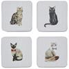CookSmart Curious Cats Coasters Set Of 4