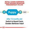 Royal Canin Golden Retriever Puppy Dog Food 12kg