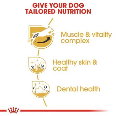 Royal Canin Jack Russell Terrier Adult Dog Food 1.5kg