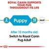 Royal Canin Pug Puppy Dog Food 1.5kg
