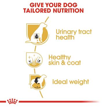 Royal Canin Bichon Frise Adult Dog Food 1.5kg