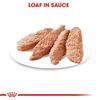 Royal Canin Digestive Care Loaf 12x85g