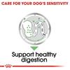 Royal Canin Digestive Care Loaf 12x85g