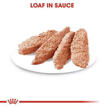 Royal Canin Light Weight Care Loaf 12x85g