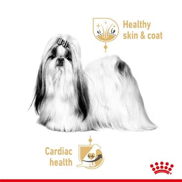 Royal Canin Shih Tzu Loaf Adult Dog Food 12x85g