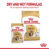 Royal Canin Shih Tzu Loaf Adult Dog Food 12x85g