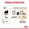 Royal Canin Shih Tzu Loaf Adult Dog Food 12x85g
